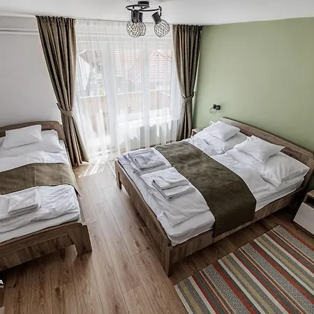 Vadasz Etterem Es Panzio 3* Repashuta