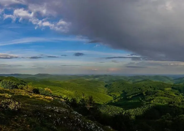 Vadasz Etterem Es Panzio 3*