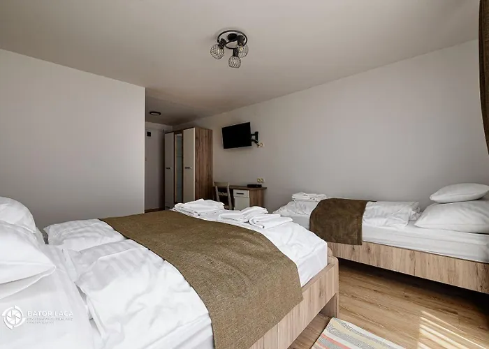 Vadasz Etterem Es Panzio Bed & Breakfast Repashuta