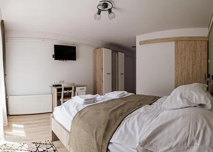 Bed & Breakfast Vadasz Etterem Es Panzio Repashuta