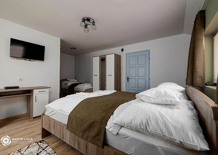 Vadasz Etterem Es Panzio Repashuta