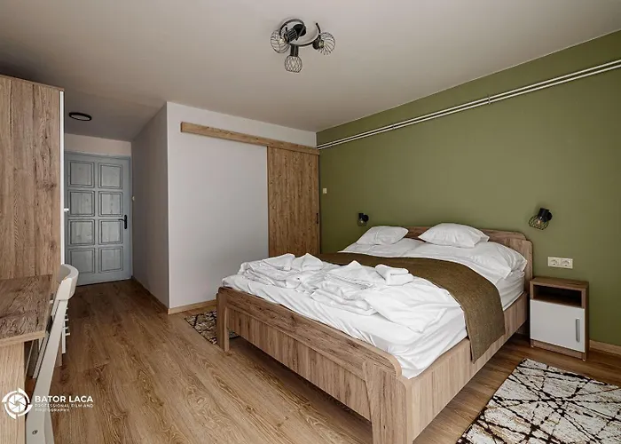 Vadasz Etterem Es Panzio Bed & Breakfast Repashuta