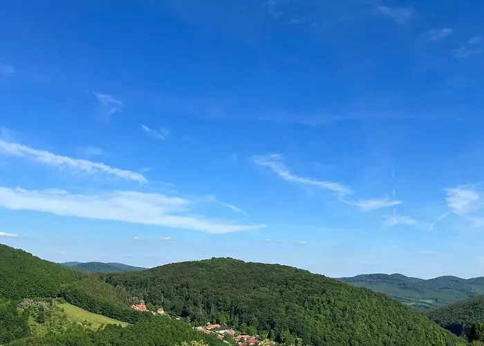 Oda ve Kahvaltı Vadasz Etterem Es Panzio