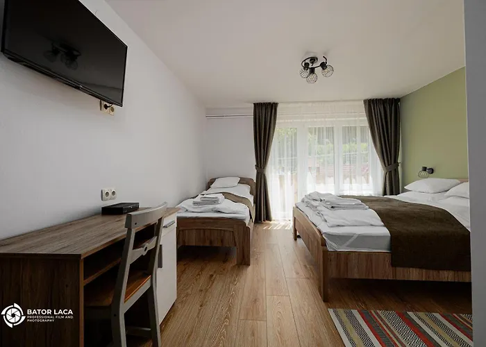 Bed & Breakfast Vadasz Etterem Es Panzio Repashuta